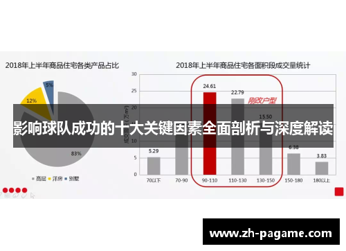 影响球队成功的十大关键因素全面剖析与深度解读