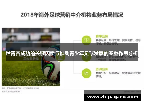 世青赛成功的关键因素与推动青少年足球发展的多重作用分析