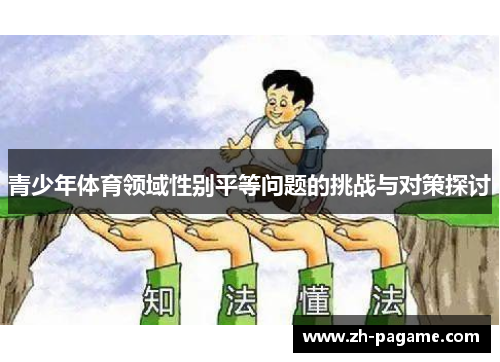 青少年体育领域性别平等问题的挑战与对策探讨