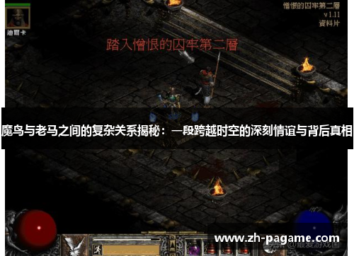 魔鸟与老马之间的复杂关系揭秘：一段跨越时空的深刻情谊与背后真相