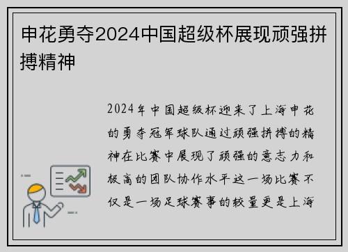 申花勇夺2024中国超级杯展现顽强拼搏精神