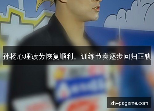 孙杨心理疲劳恢复顺利，训练节奏逐步回归正轨