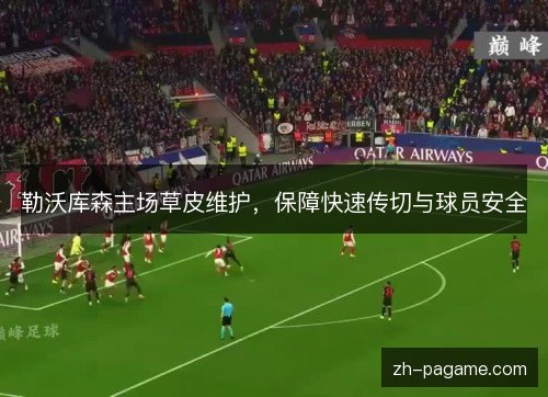 勒沃库森主场草皮维护,保障快速传切与球员安全 勒沃库森主场草皮维护,保障快速传切与球员安全